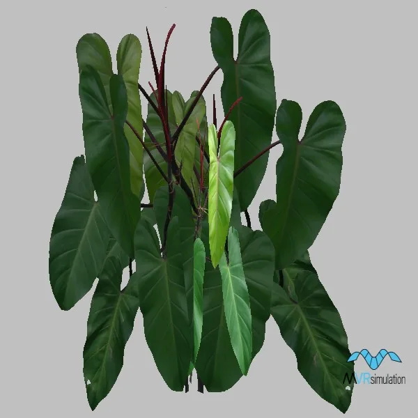 plant-014 — 3D model preview