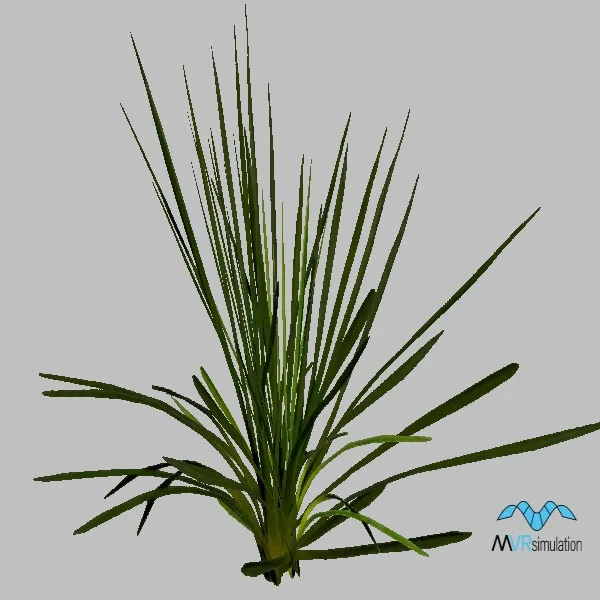 plant-015 — 3D model preview