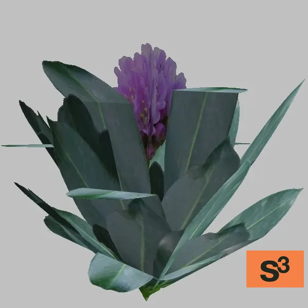 plant-017 — 3D model preview