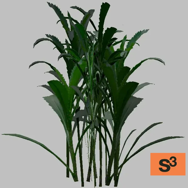 plant-018 — 3D model preview