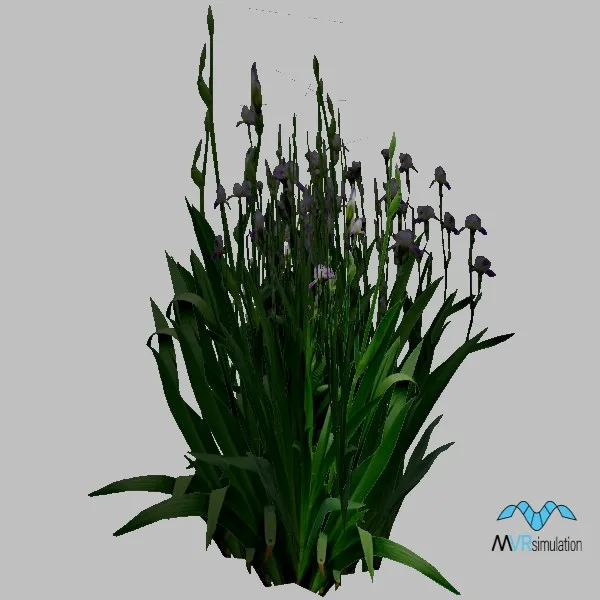 plant-019 — 3D model preview