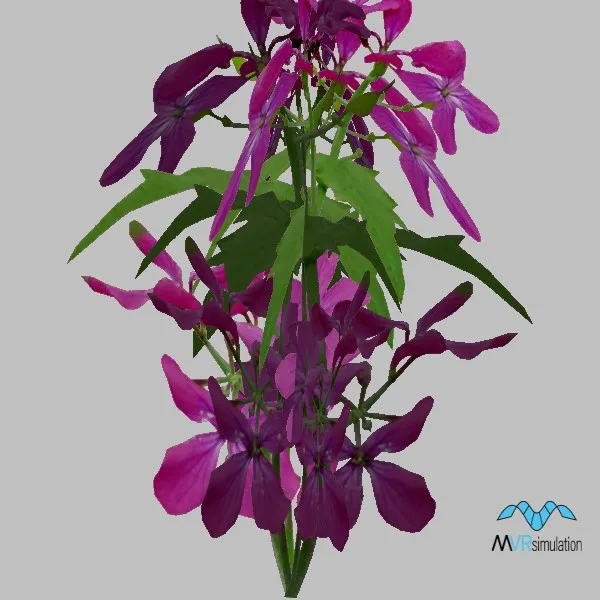 plant-020 — 3D model preview