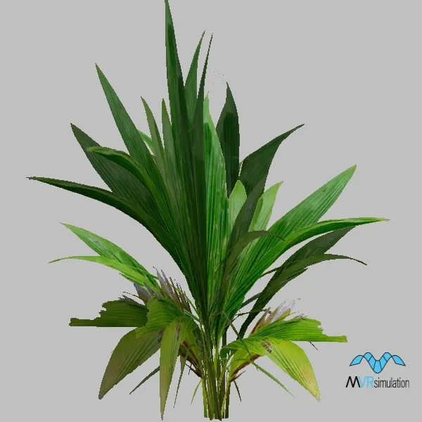 plant-021 — 3D model preview