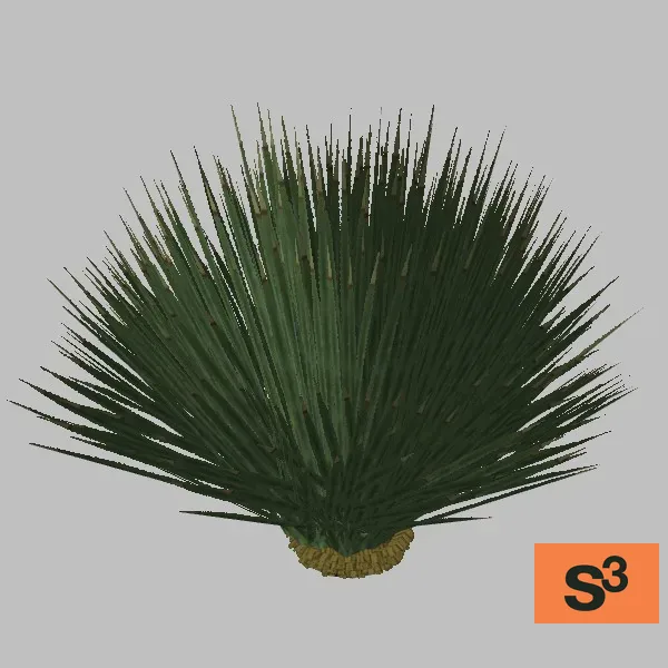 plant-grass-tree-001 — 3D model preview