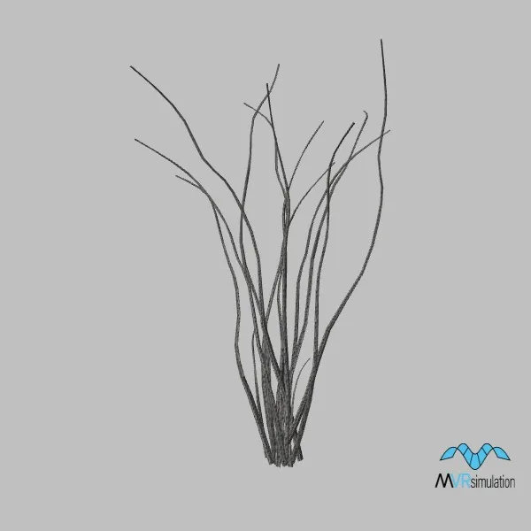 plant-ocotillo-002 — 3D model preview
