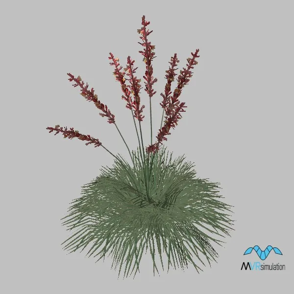 plant-red-yucca — 3D model preview