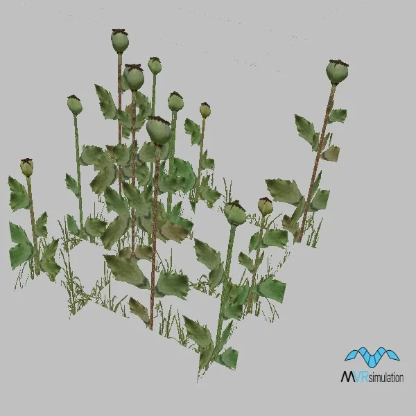 Poppy-001 — 3D model preview