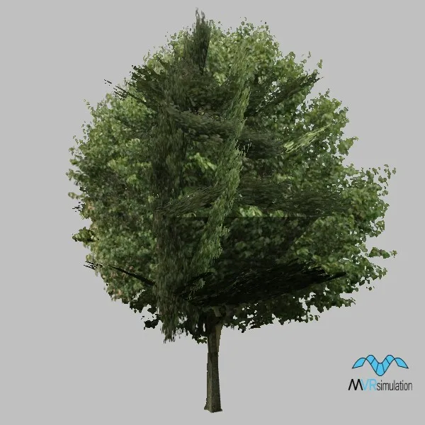tree-065 — 3D model preview