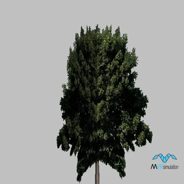 tree-066 — 3D model preview