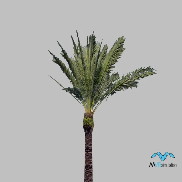tree-069 — 3D model preview