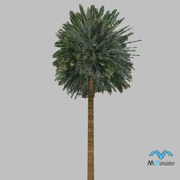 tree-071 — 3D model preview