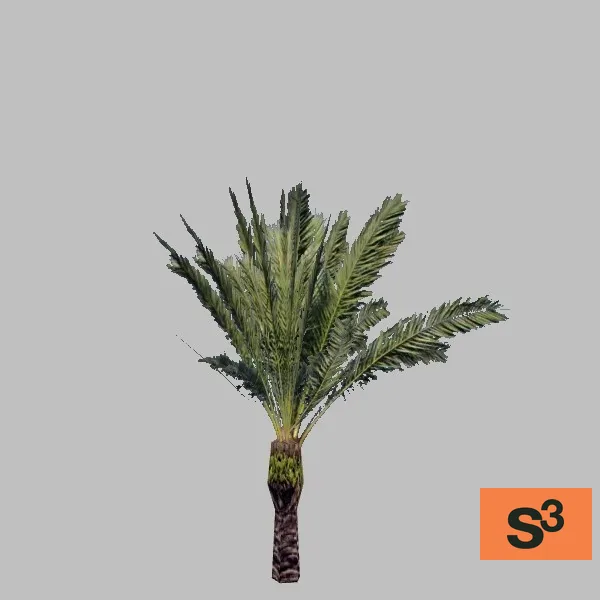 tree-072 — 3D model preview