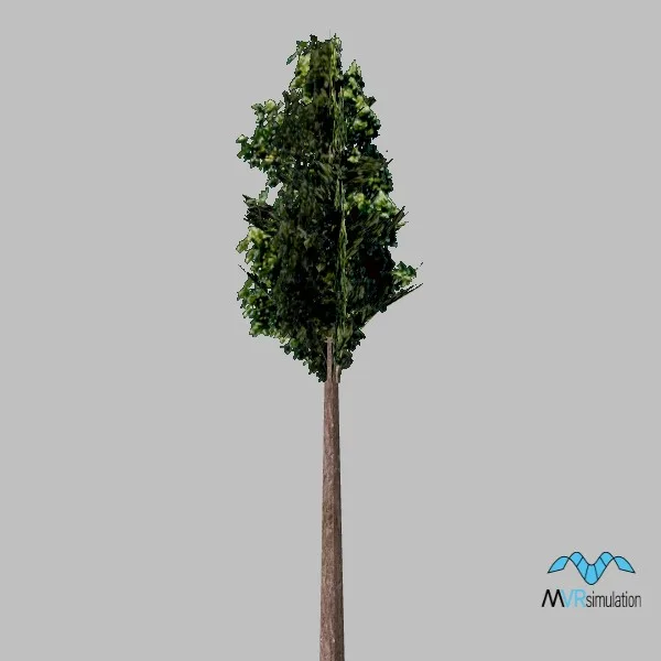 tree-073 — 3D model preview