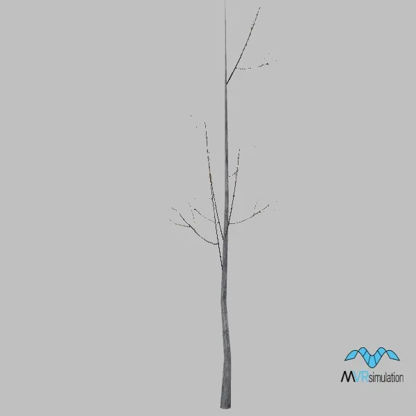 tree-075 — 3D model preview
