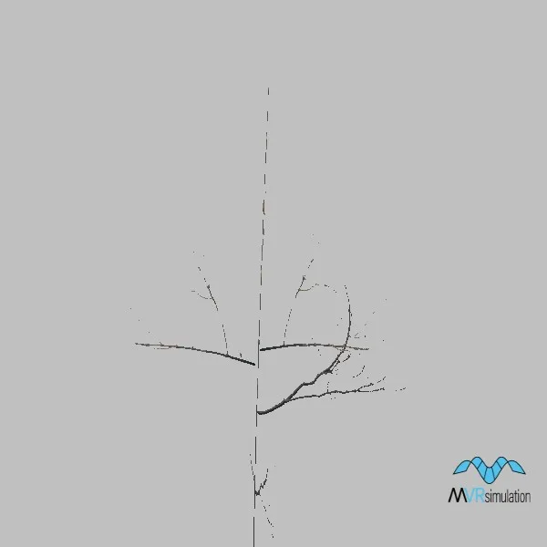 tree-076 — 3D model preview