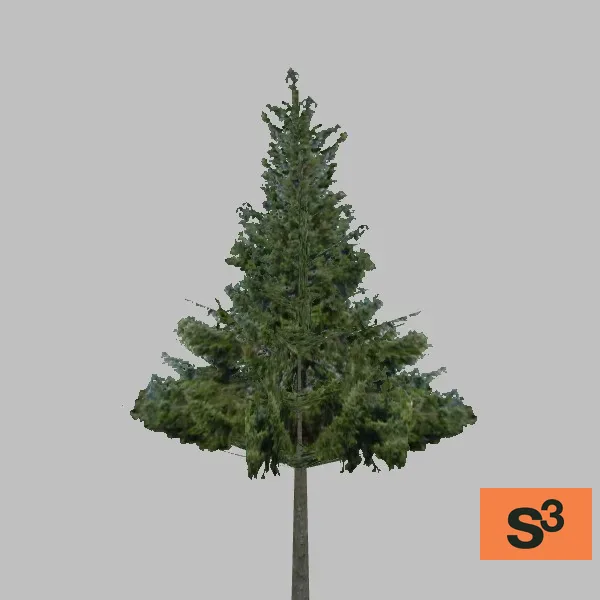 tree-077 — 3D model preview