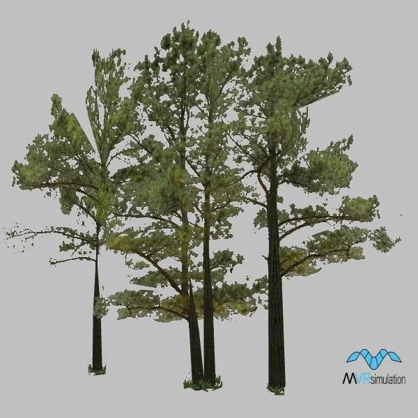 tree-081 — 3D model preview