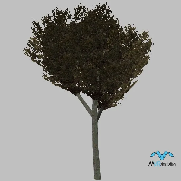 tree-103 — 3D model preview