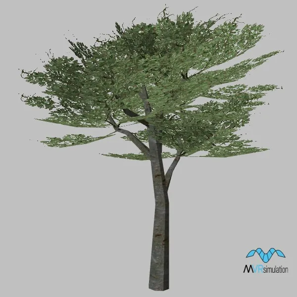tree-111 — 3D model preview