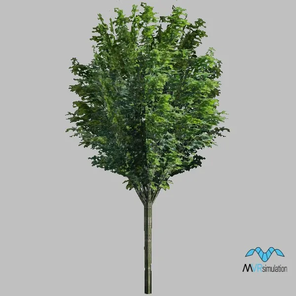tree-113 — 3D model preview