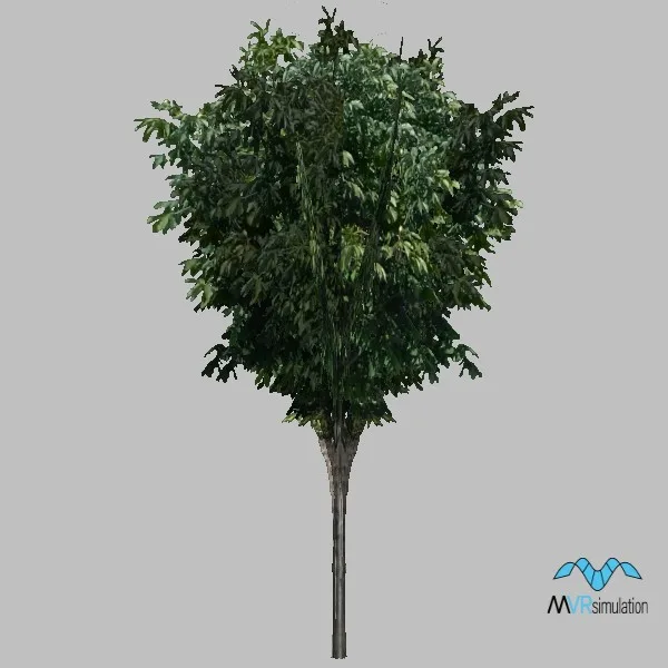 tree-114 — 3D model preview