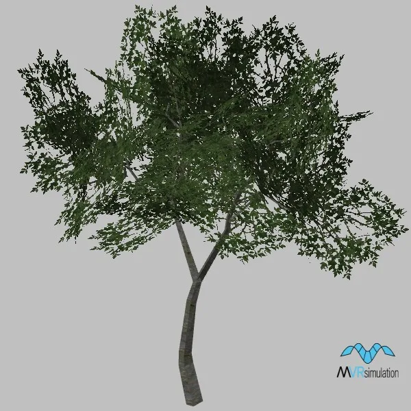 tree-116 — 3D model preview