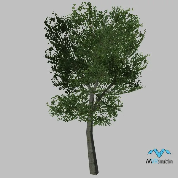 tree-117 — 3D model preview