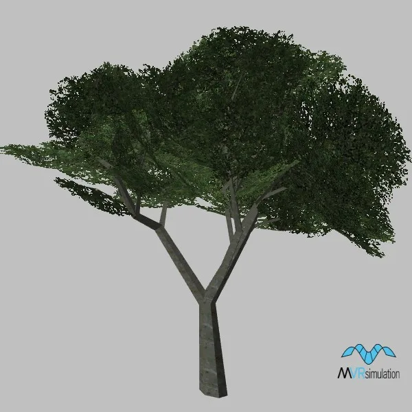 tree-118 — 3D model preview