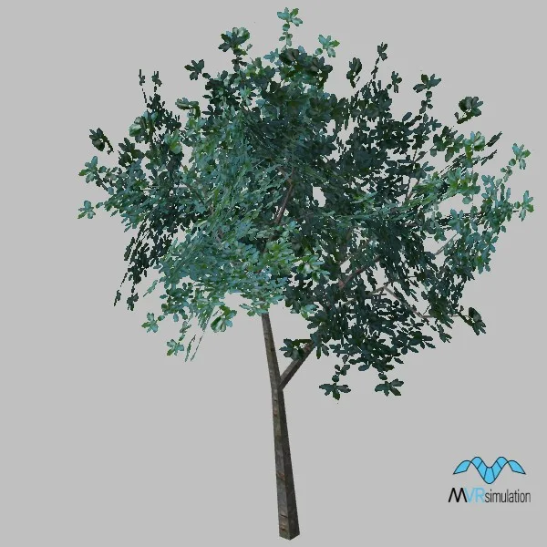 tree-119 — 3D model preview