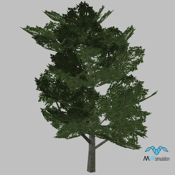 tree-120 — 3D model preview