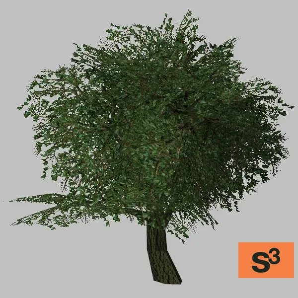 tree-122 — 3D model preview