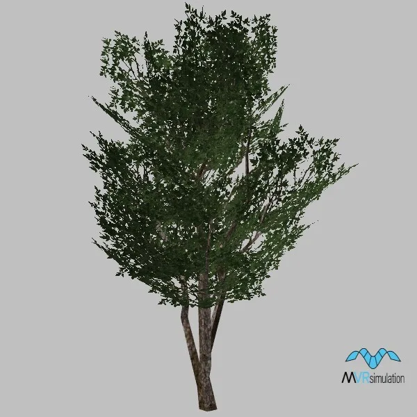 tree-124 — 3D model preview