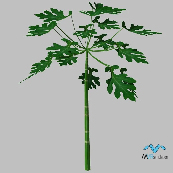 tree-129 — 3D model preview