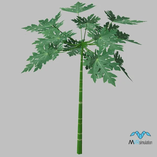 tree-132 — 3D model preview