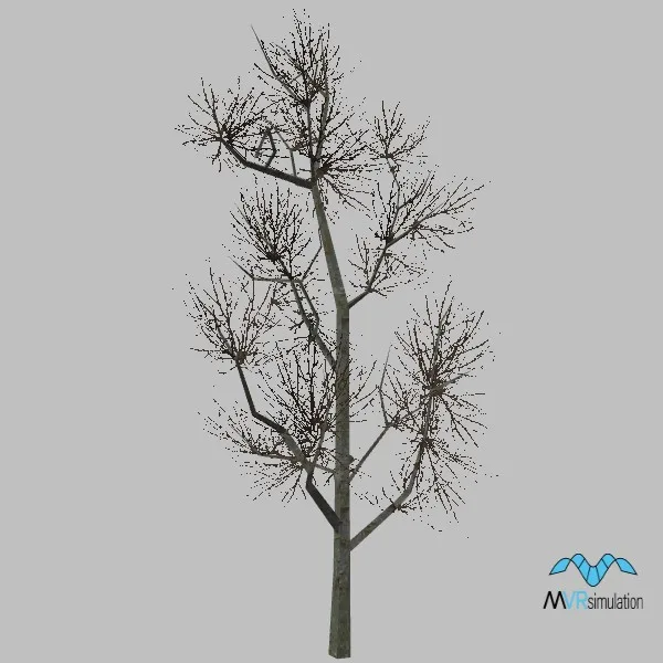 tree-138 — 3D model preview