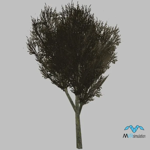 tree-144 — 3D model preview