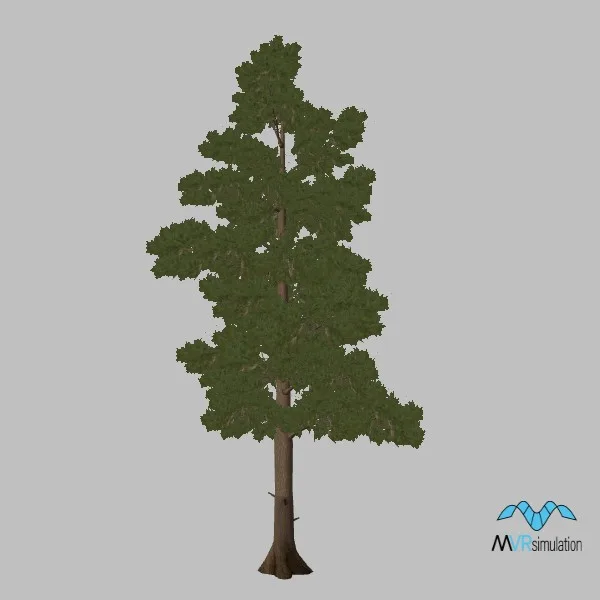 tree-aleppo-pine-002 — 3D model preview