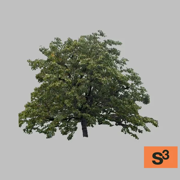 tree-bush-001 — 3D model preview