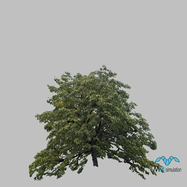 tree-deciduous-002 — 3D model preview