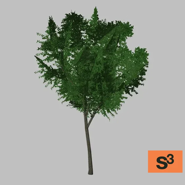 tree-elm-002 — 3D model preview