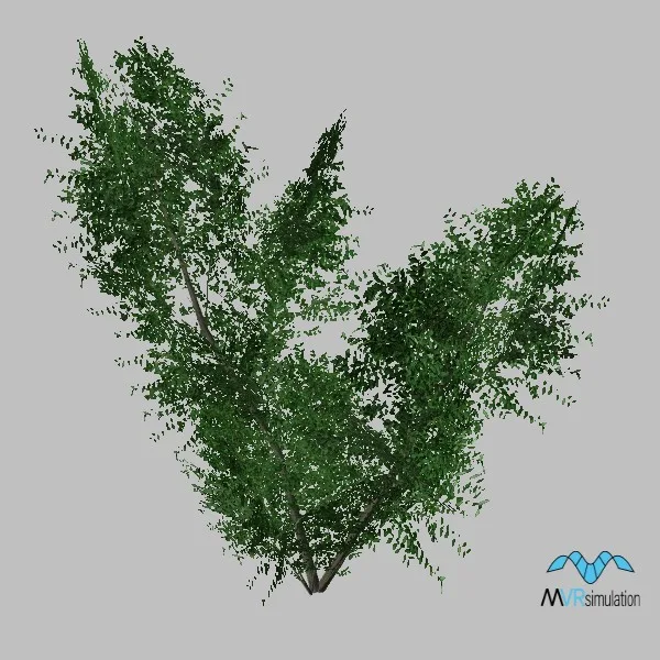tree-elm-005 — 3D model preview