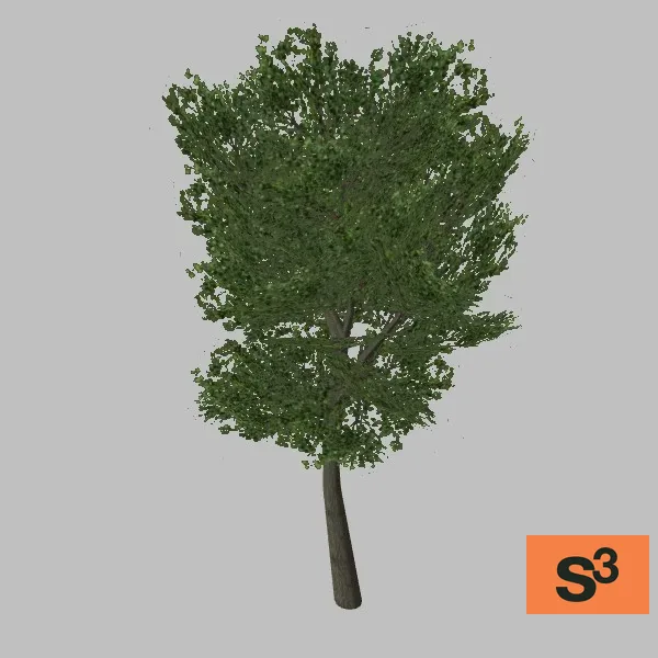 tree-elm-006 — 3D model preview