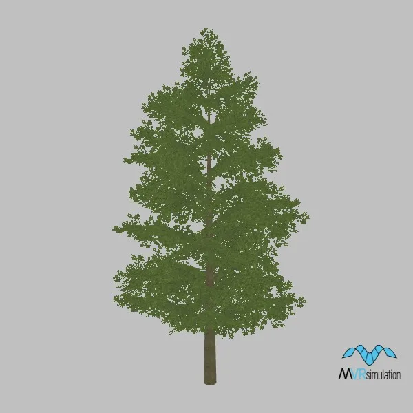 tree-euro-beech-002 — 3D model preview