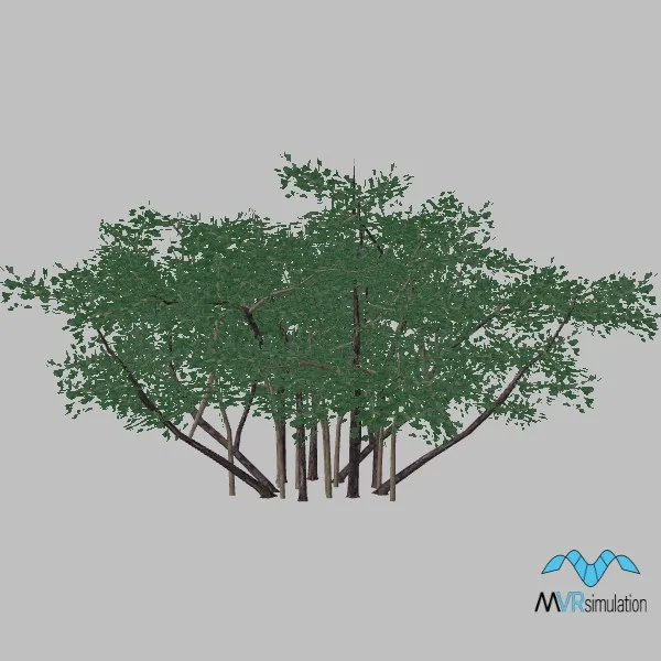 tree-lilac-004 — 3D model preview