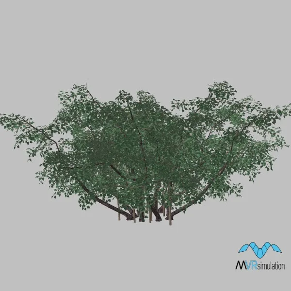 tree-llilac-001 — 3D model preview