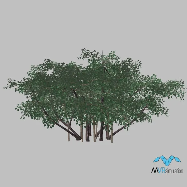 tree-llilac-002 — 3D model preview