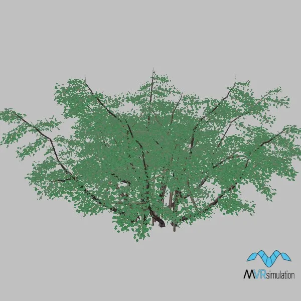 tree-llilac-003 — 3D model preview