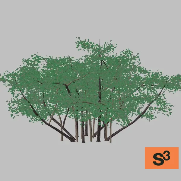 tree-llilac-004 — 3D model preview