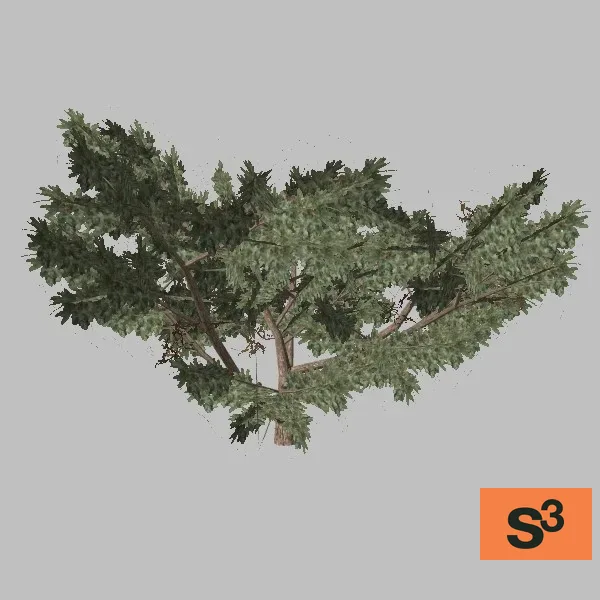 tree-mesquite-001 — 3D model preview