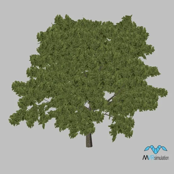 tree-oak-001 — 3D model preview